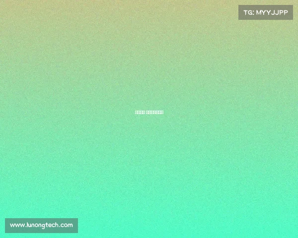 路跑赛事 报告、跑步赛事